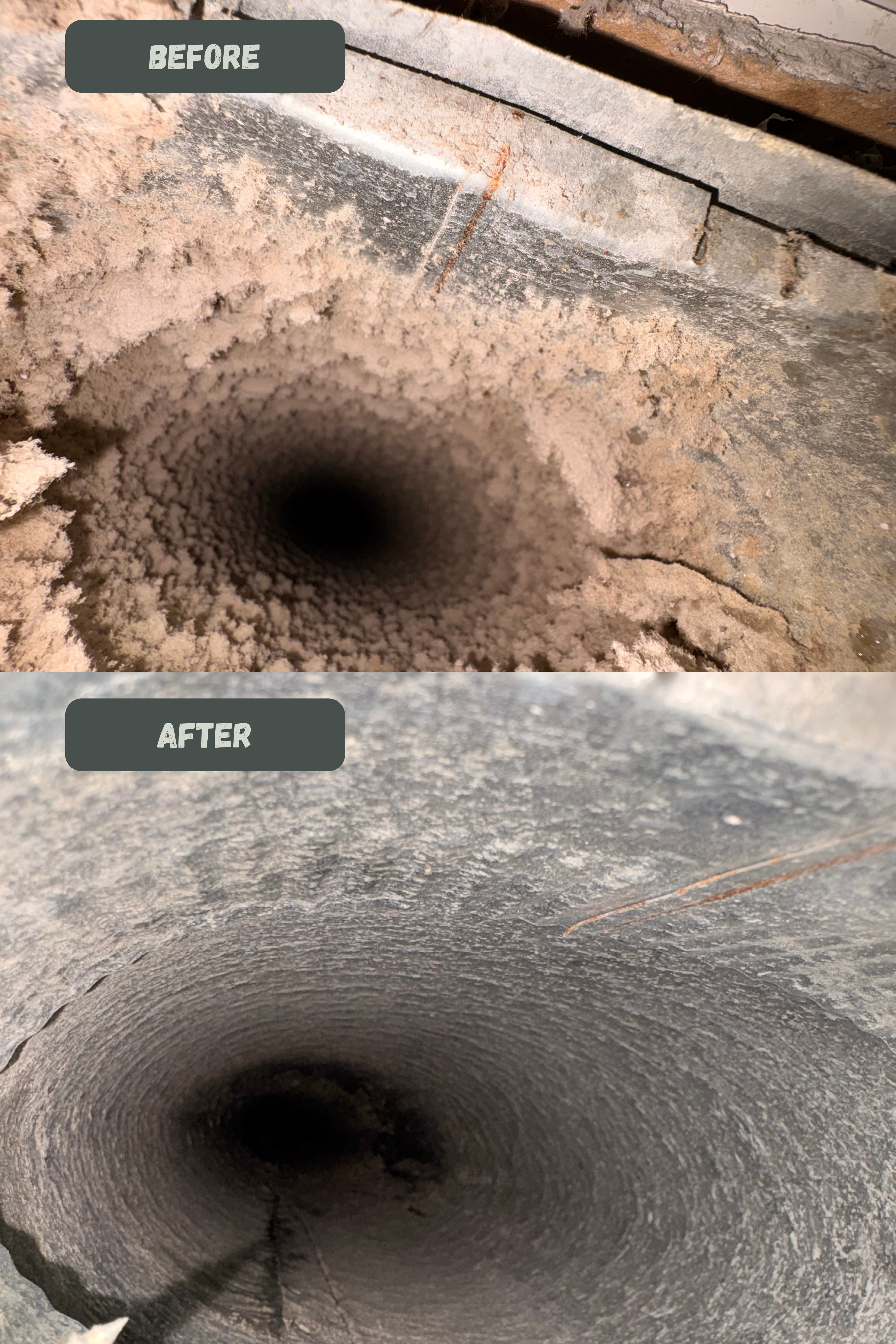 Cleaning professional 1