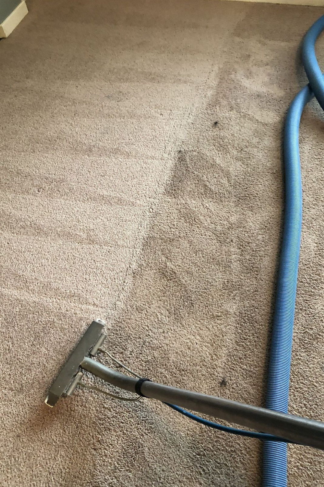 Cleaning professional 1