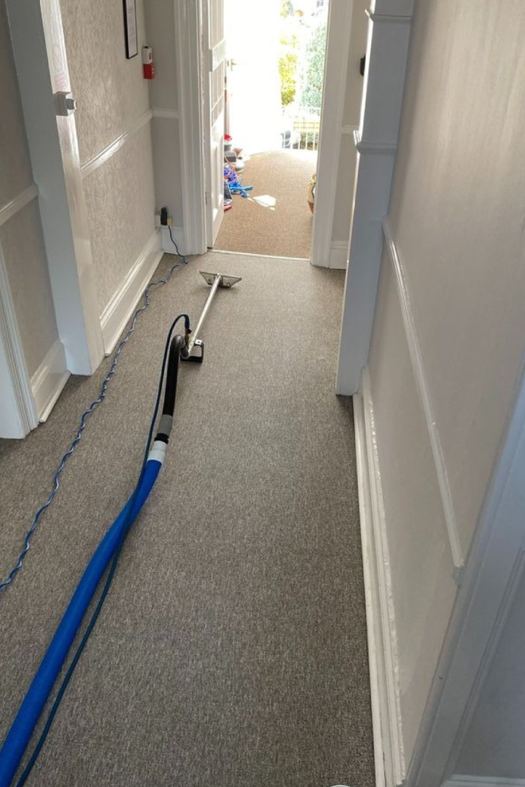 Cleaning professional 2